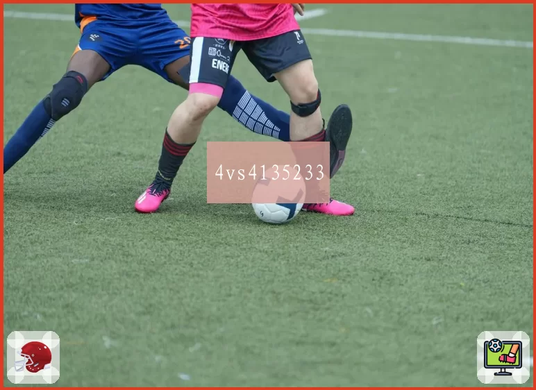 4vs4135233
