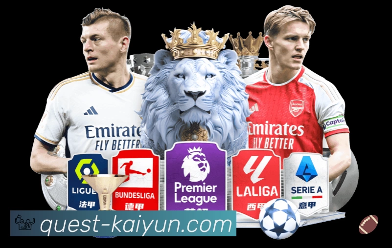 结构优化认证展示